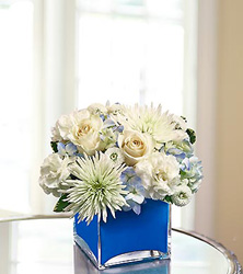 Moody Blues Davenport Florist - Same Day Flower Delivery - Flower Power 